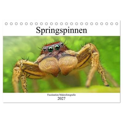 Faszination Makrofotografie: Springspinnen (Tischkalender 2027 DIN A5 quer), CALVENDO Monatskalender