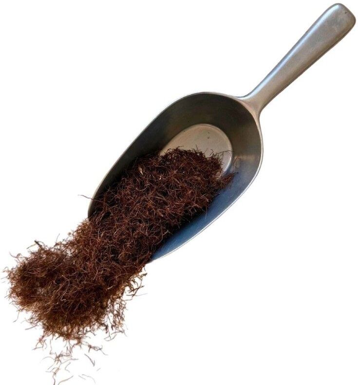 France Herboristerie Tisane Maïs stigmate 1 KILO ENTIER (Barbe) Zea maïs