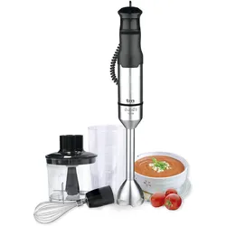 TM Electron Stabmixer 1200 W mit Zubehör