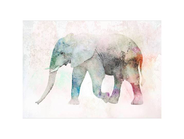 Papier peint intissé Painted Elephant 150cm
