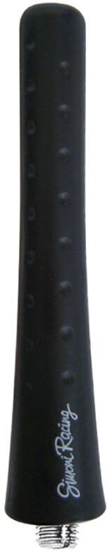 Simoni Racing ASR/06 Antenne