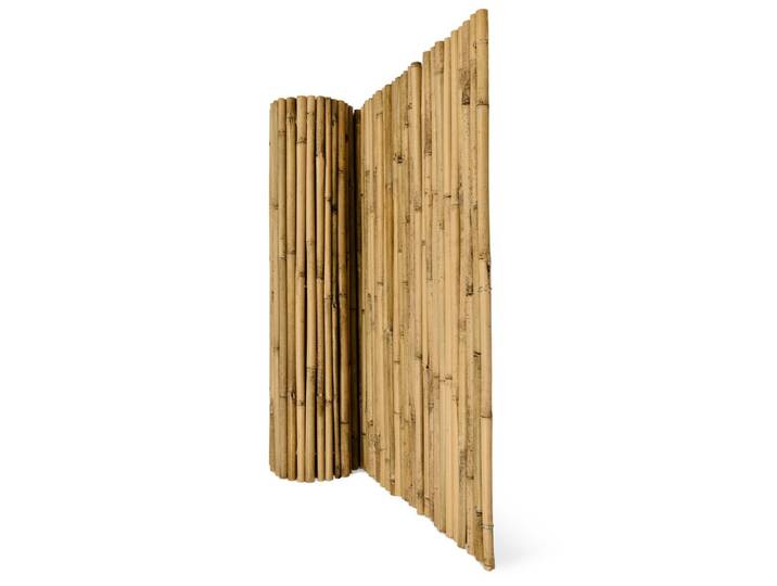 SICHTSCHUTZZAUN SolVision B38 80/250 cm Bambus