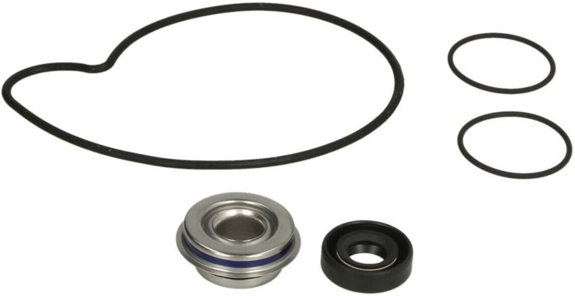 Pompe à eau WINDEROSA W821001