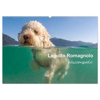 Lagotto Romagnolo - Wasserspiele (Wandkalender 2026 DIN A2 quer), CALVENDO Monatskalender