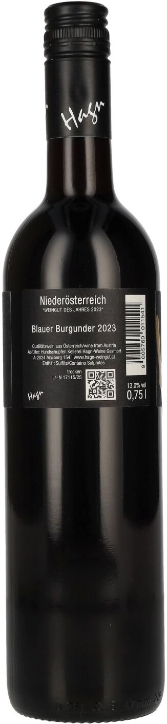 Weingut Hagn Hagn Blauer Burgunder 2023 13% Vol. 0,75l