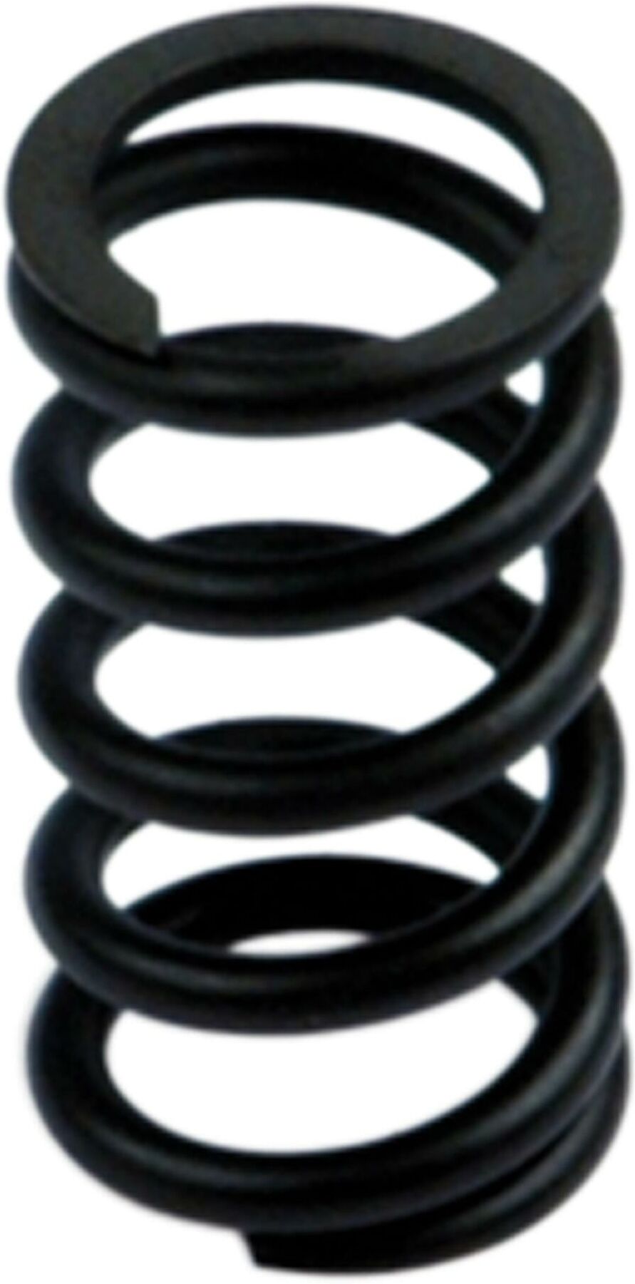 Riegler Feder »SYNTESI«, BG 2, 0 - 12 bar (9210198)