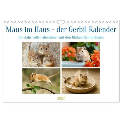 Maus im Haus - der Gerbil Kalender (Wandkalender 2027 DIN A4 quer), CALVENDO Monatskalender