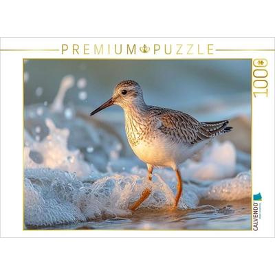 CALVENDO Puzzle Strandläufer, mit forschem Blick auf Nahrungssuche | 1000 Teile Lege-Größe 64x48cm Foto-Puzzle für glückliche Stunden, Game von ,