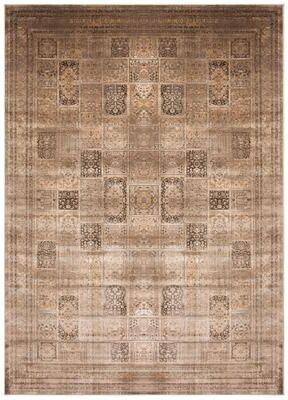 SAFAVIEH Vintage Distressed Boho Donielle Oriental Rug