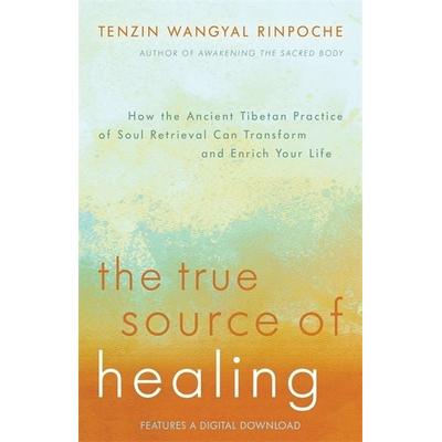 The True Source of Healing, Taschenbuch von Tenzin Wangyal Rinpoche, Hay House, 978-1-4019-4449-0