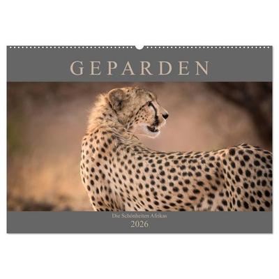Geparden - Die Schönheiten Afrikas (Wandkalender 2026 DIN A2 quer), CALVENDO Monatskalender