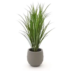 Designplants/Luca Lifestyle Reitgras Kunstpflanze (h:100 cm) mit Bordo Balloon Blumentopf