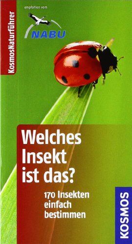 Heiko Bellmann - Welches Insekt ist das?: 170 Insekten einfach bestimmen - Preis vom 30.09.2026 09:01:18 h