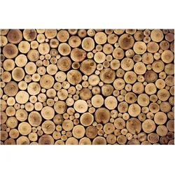 FOTOTAPETE Homey Firewood 432/290 cm