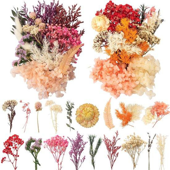 Azomor Creatiefpakket met gedroogde bloemen voor artistieke decoratie en knutselprojecten