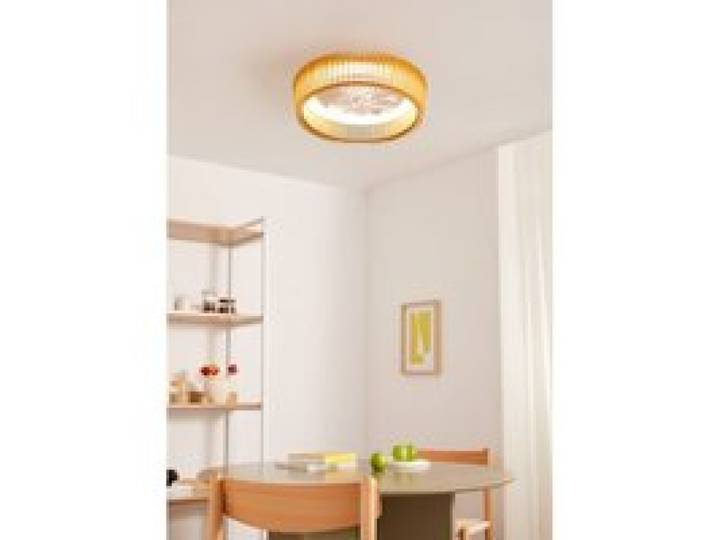 WIND CRAFT S - Ventilateur de plafond 20W silencieux Ø58cm pales orientables avec eclaraige LED avec eclaraige sans wifi