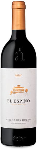 Áster El Espino 2021