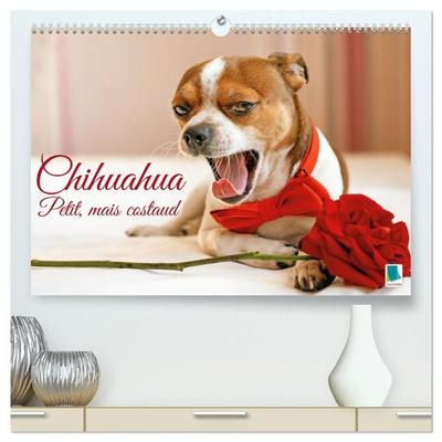 Chihuahua : petit, mais costaud (Calendrier mural haut de gamme 2027 DIN A2 vertical), CALVENDO calendrier mensuel
