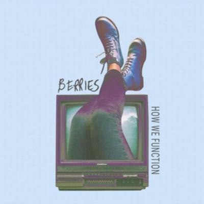 How We Function - Berries, Vinyl
