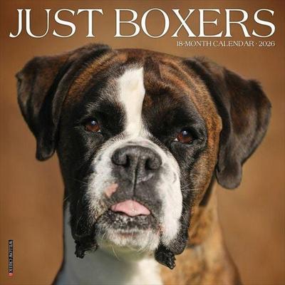 Boxers 2026 Wall Calendar