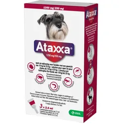Ataxxa 1250 mg/250 mg Lsg.z.A. für Hunde von 10 kg - 25 kg 3 St