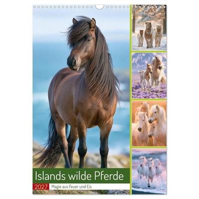 Islands wilde Pferde (Wandkalender 2027 DIN A3 hoch), CALVENDO Monatskalender
