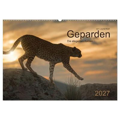 Geparden. Die eleganten Katzen. (Wandkalender 2027 DIN A2 quer), CALVENDO Monatskalender