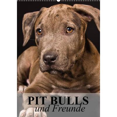 Pit Bulls und Freunde (Wandkalender 2022 DIN A2 hoch)