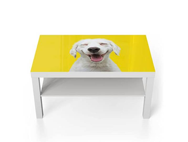 DEQORI Glastisch weiß groß 90x50 cm Motiv Lachender Hund ausgefallener Beistelltisch aus Glas Hochglanz Couchtisch fürs Wohnzimmer moderner Couch Tisch mit Design