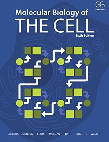Bruce Alberts - Molecular Biology of the Cell - Preis vom 13.10.2026 11:25:28 h