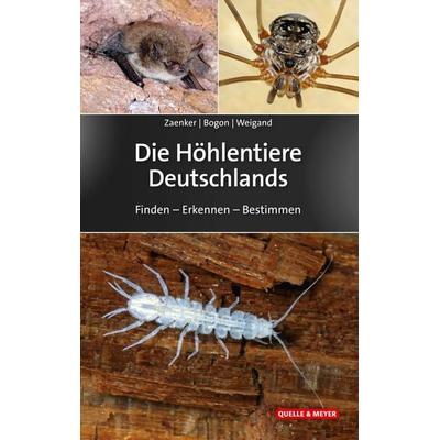 Die Höhlentiere Deutschlands, Gebundene Ausgabe von Stefan Zaenker,Klaus Bogon,Alexander Weigand, Quelle & Meyer, 978-3-494-01831-7