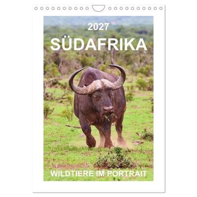 SÜDAFRIKA - WILDTIERE IM PORTRAIT (Wandkalender 2027 DIN A4 hoch), CALVENDO Monatskalender