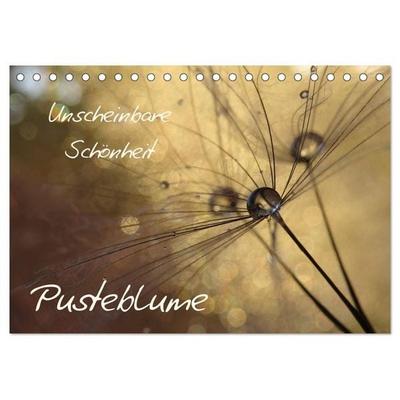 Unscheinbare Schönheit - Pusteblume (Tischkalender 2026 DIN A5 quer), CALVENDO Monatskalender