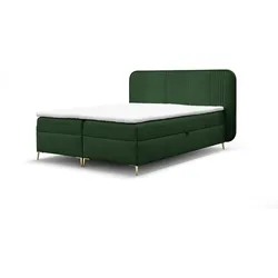 BOXBETT Alize