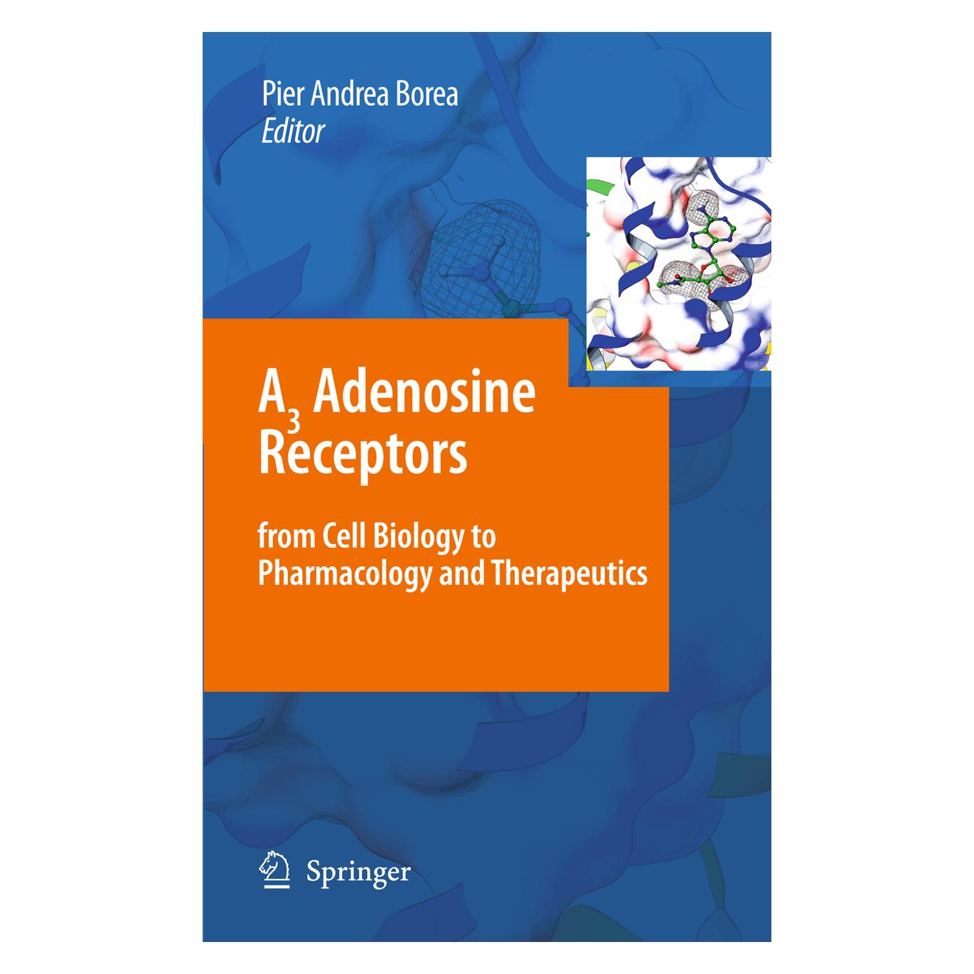 Springer A3 Adenosine Receptors from Cell Biology to Pharmacology and Therapeutics (Englisch, Softcover, Andrea Borea, Pier Andrea Borea) (55574428)