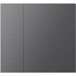 WALTZ Wippenset für Tastsensor+ Aluminium Anthr 1-fach b Gravur Text/Icon durchscheinend