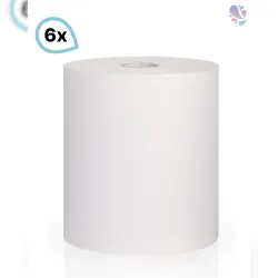Blanc HYGIENIC Tissue-Handtuchpapier SET, 6 Rollen, 2-lagig, 125m je Rolle, Zellstoff, saugstark