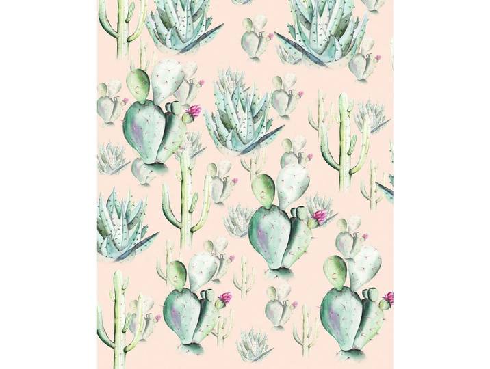 VLIESTAPETE CACTUS ROSE