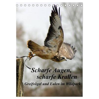 Scharfe Krallen, scharfe Augen, Greifvögel und Eulen im Wildpark (Tischkalender 2026 DIN A5 hoch), CALVENDO Monatskalender