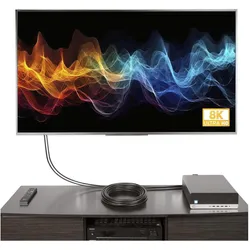 StarTech DisplayPort – DisplayPort (7.70 m), Videokabel, Schwarz