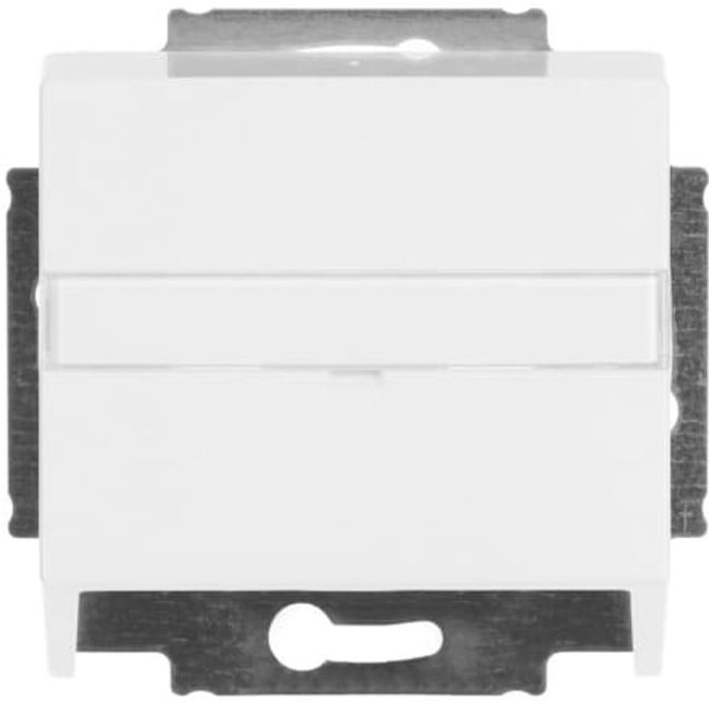 Busch-Jaeger Plaque centrale dav/sws pour connecteur modulaire 1758-84 (2CKA001724A2761)