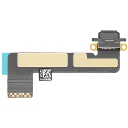 iPad Mini Ladebuchse