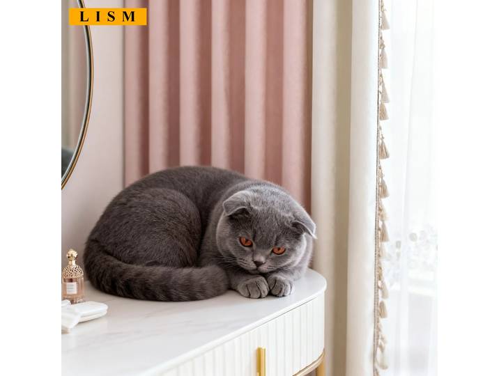 Rideaux roses de luxe clairs pour salon chambre de fille occultant français rideau de gaze Jacquard moderne fenêtre cantonnière personnalisée