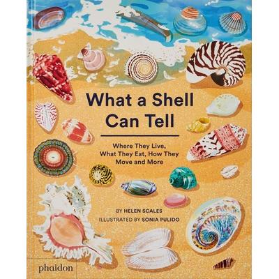 What A Shell Can Tell, Gebundene Ausgabe von Helen Scales,Sonia Pulido, Phaidon, 978-1-83866-430-5