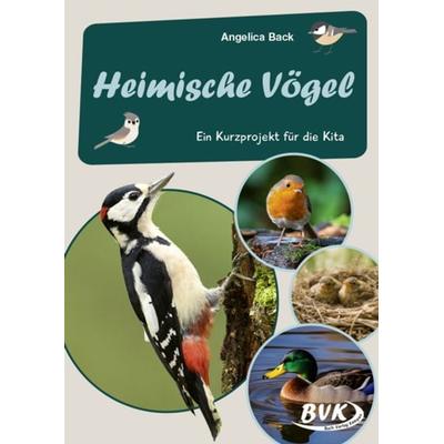 Heimische Vögel, Geheftet von Angelica Back, BVK Buch Verlag Kempen GmbH, 978-3-96520-174-3