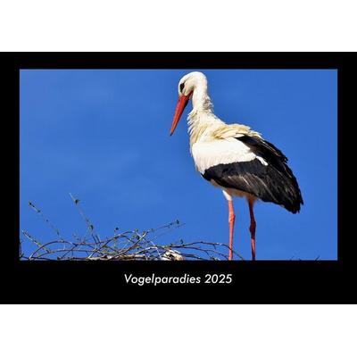 Vogelparadies 2025 Fotokalender DIN A3