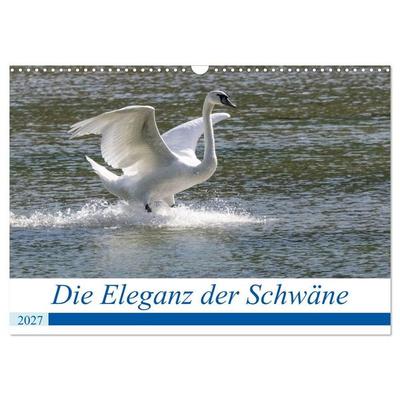 Die Eleganz der Schwäne (Wandkalender 2027 DIN A3 quer), CALVENDO Monatskalender