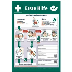 Hein, Sicherheitskennzeichnung, 27287 Erste Hilfe HEIN 27287 Aushang PS 395x575mm