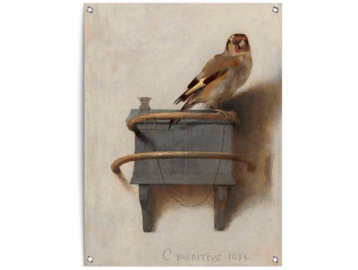 Poster REINDERS Der Distelfink , braun (farbe bild(er): braun), B:60cm H:80cm T:0,1cm, Leinwand, Bilder, Poster
