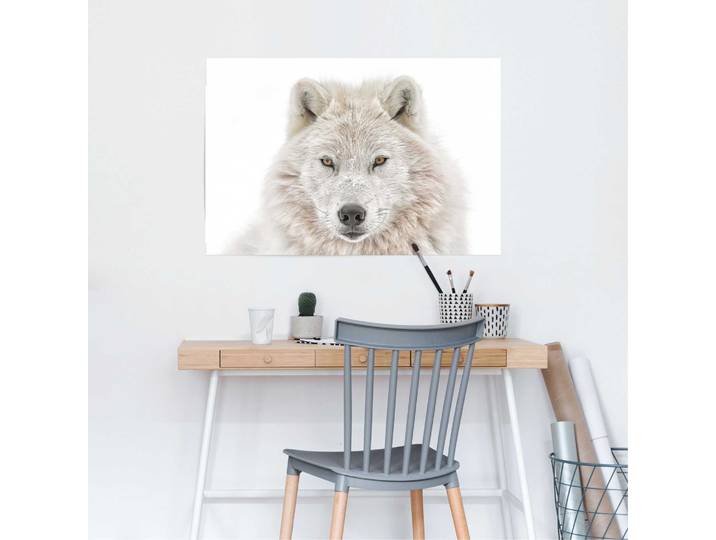 Affiche Loup blanc Papier Blanc 61 x 92 x 0cm
